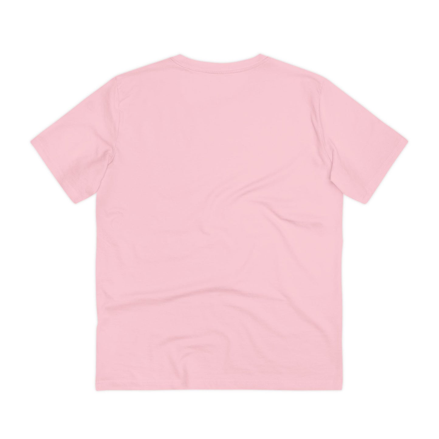 Hustle Always Wins Organic T-shirt