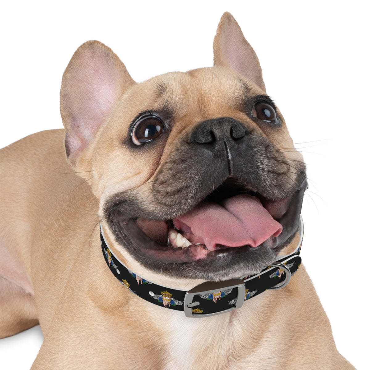 H.A.W Dog Collar