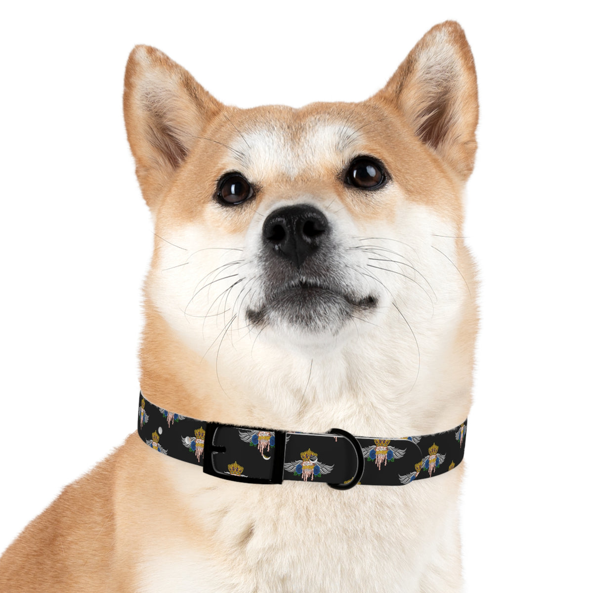 H.A.W Dog Collar
