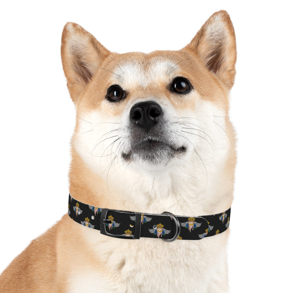 H.A.W Dog Collar