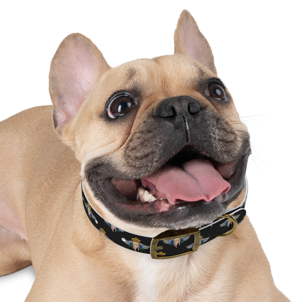 H.A.W Dog Collar
