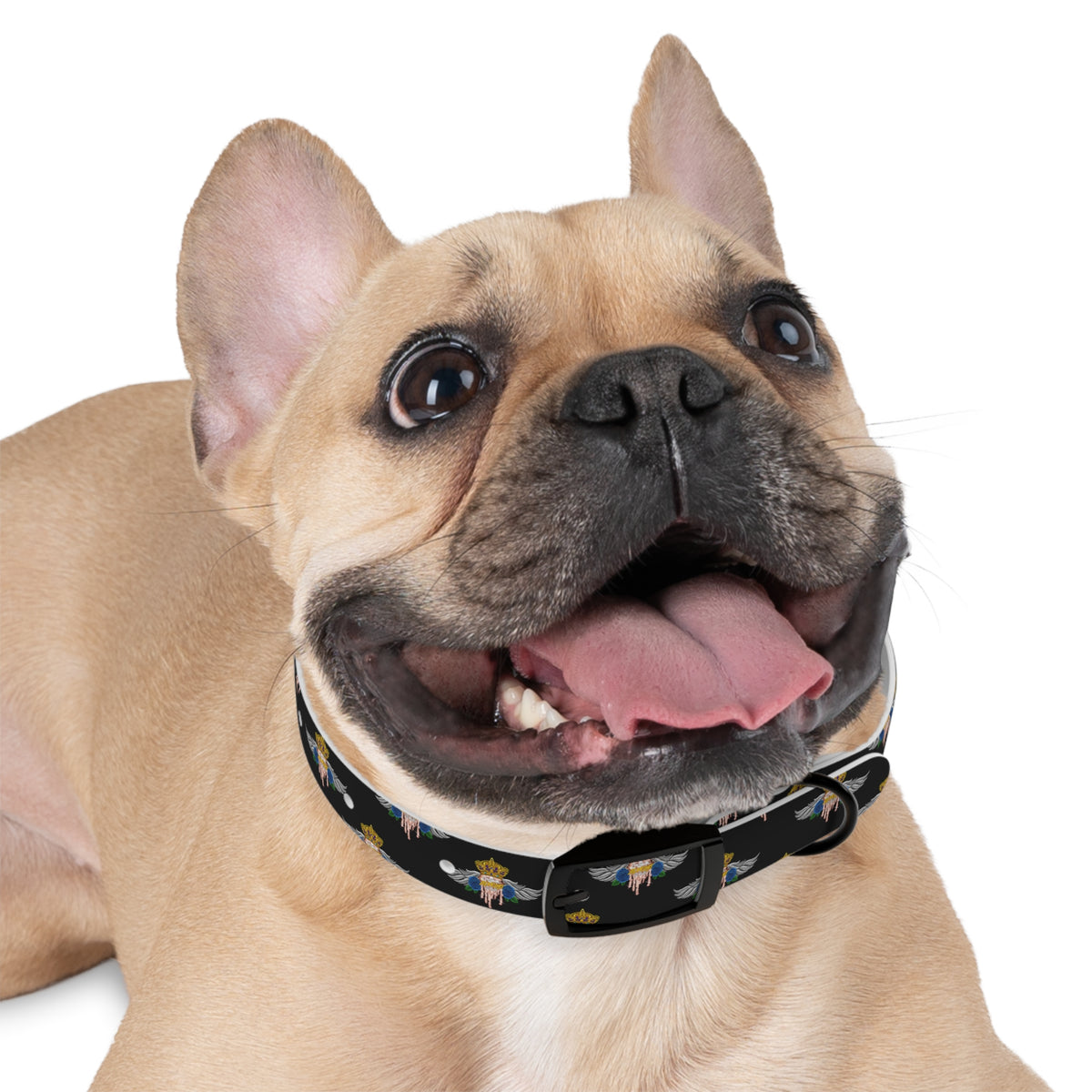 H.A.W Dog Collar